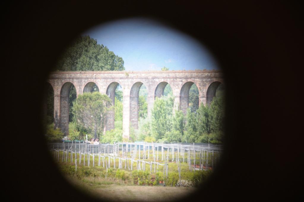Appartamenti Vacanze Il Nottolini Capannori Dış mekan fotoğraf