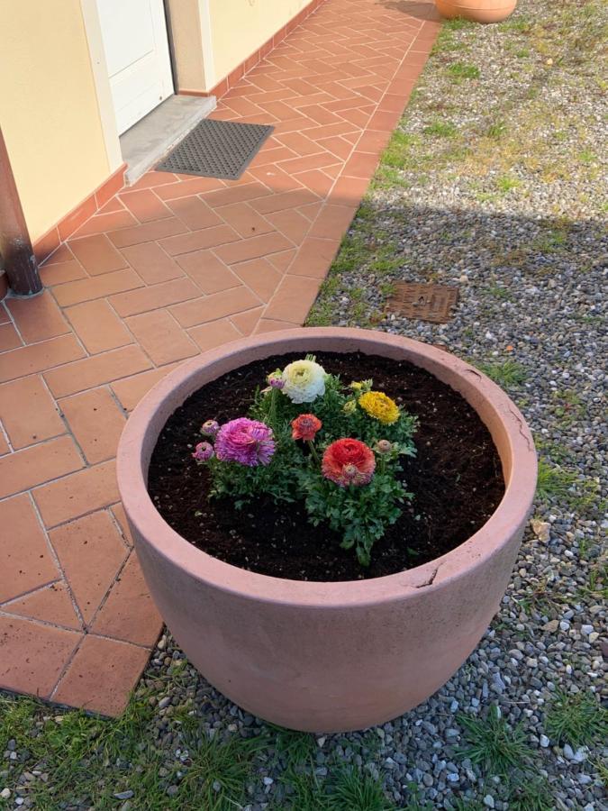Appartamenti Vacanze Il Nottolini Capannori Dış mekan fotoğraf